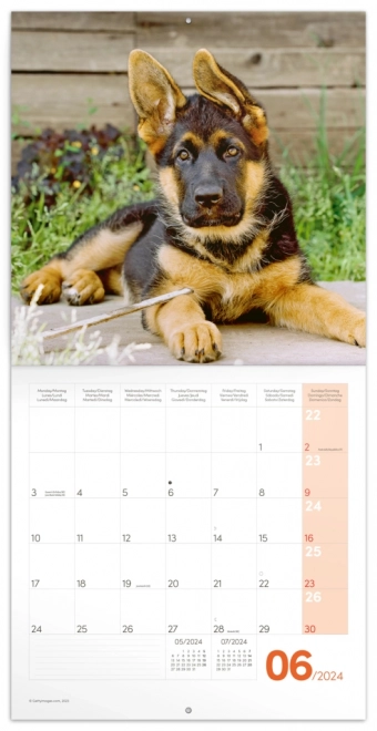 Notitie Kalender Puppy’s 2024