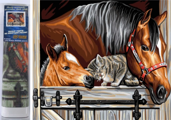 Set voor diamant schilderen - paarden met kat