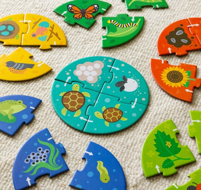 Petit Collage Ontdekker Puzzel Levenscyclus