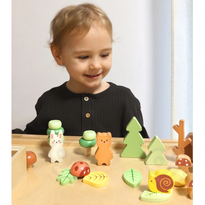 Bosset met houten blokken Tooky Toy