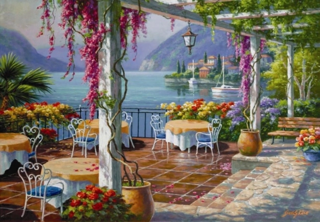 Puzzel Terras met Wisteria 500 stukjes