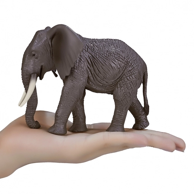 Mojo Afrikaanse Olifant