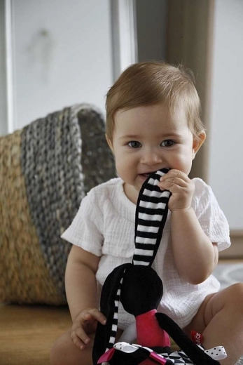 Verschillende texturen en knisperende elementen