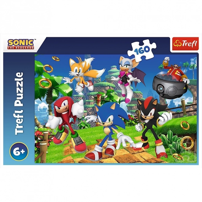 Puzzel Sonic en vrienden 160 stukjes