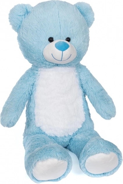 Pluchen teddybeer blauw 80 cm
