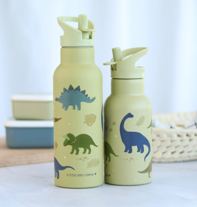 A Little Lovely Company Roestvrijstalen Drinkfles 500 ml