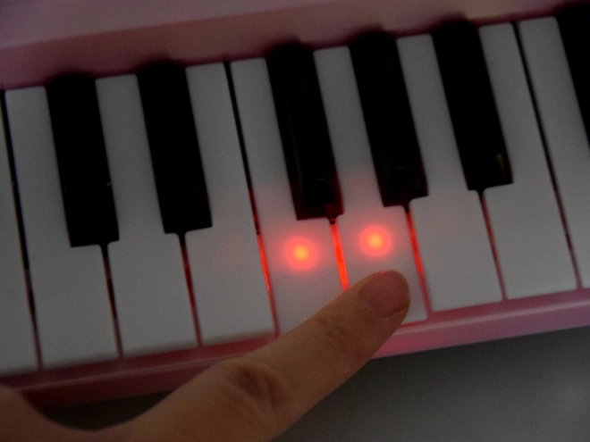 Toetsenorgel met verlichte toetsen IN0151