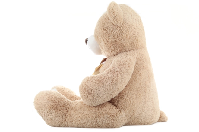 Schattig design met strik