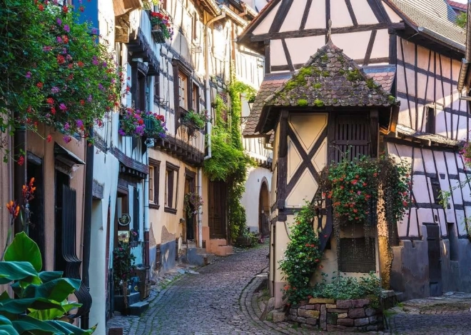 Puzzel Eguisheim Frankrijk 1000 stukjes