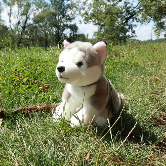 Pluche Husky hond met riem 28 cm van Rappa