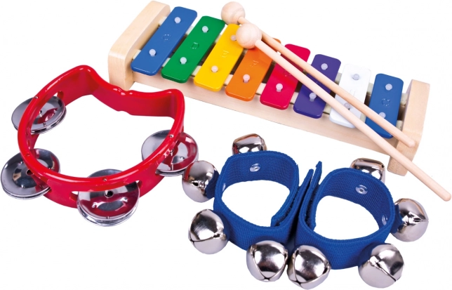 BINO set van 3 muziekinstrumenten voor kinderen (xylofoon, tamboerijn, belletjes)