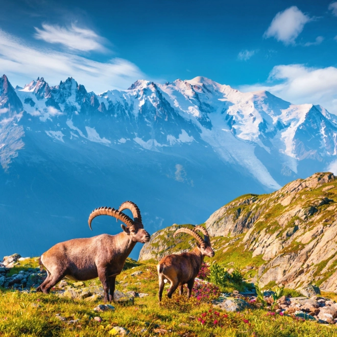 Notitiekalender Alpen 2026