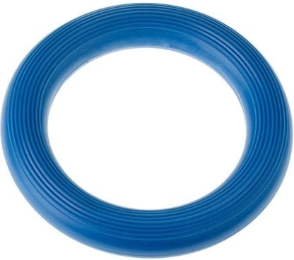 Ringo Tullo Blauw