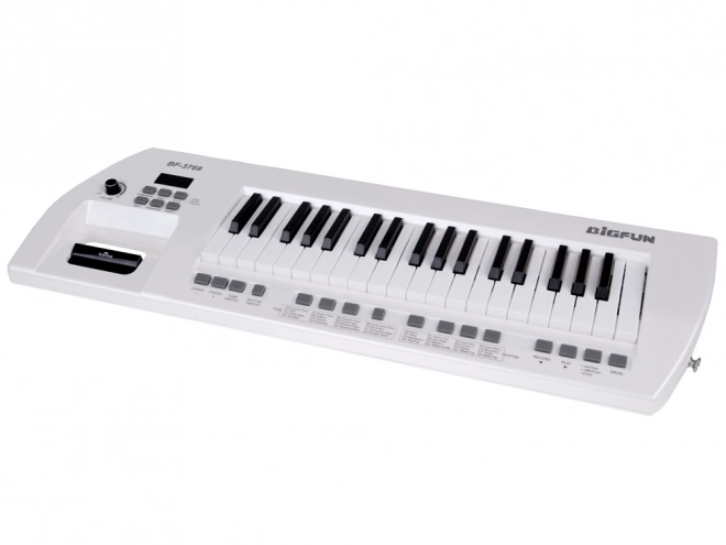Elektrische piano + microfoon Speelgoed Instrument voor kinderen IN0173