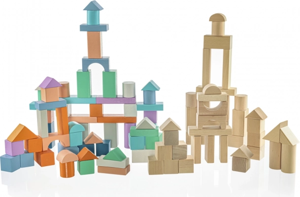 Houten bouwstenen voor kinderen 100 stuks