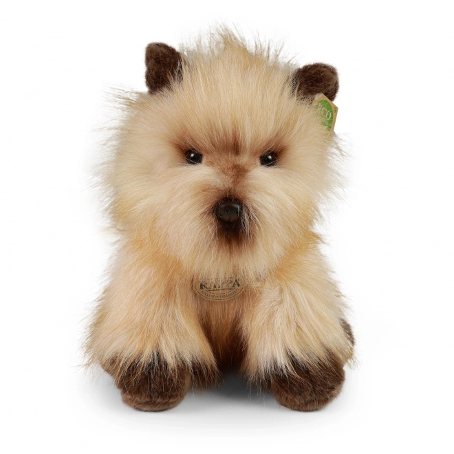 Pluchen hond cairn terriër 30 cm ECO-VRIENDELIJK