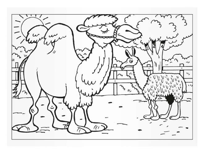 Kleurboekjes MFP Bezoek aan de Dierentuin