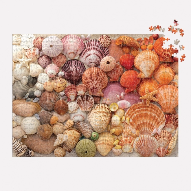 Puzzel Stralende schelpen 1000 stukjes
