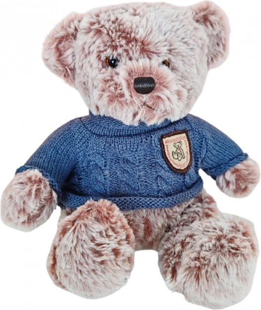 Pluchen Beer in Blauwe Trui 21cm