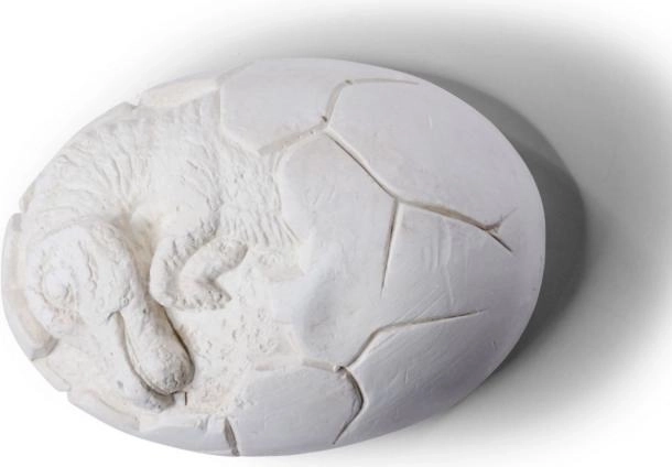 Set voor het opgraven van dinosauruseieren