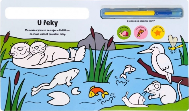 Kleur me in! Dieren van Svojtka & Co.