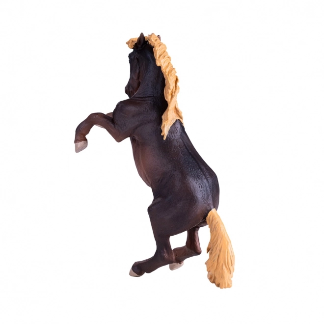 Mojo Hengst Brumby