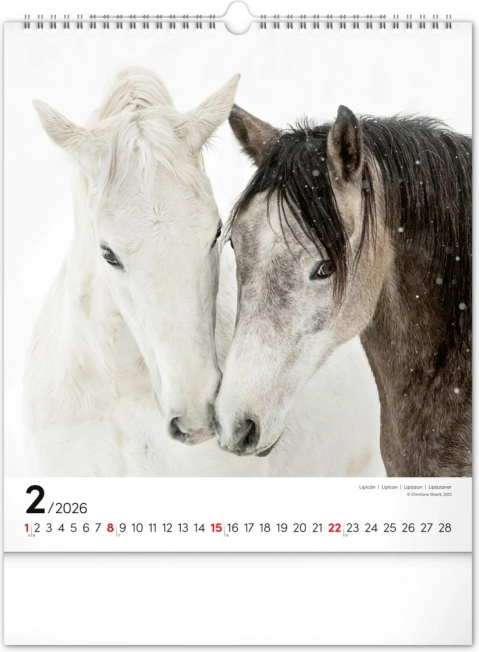 Wandkalender Paarden 2026
