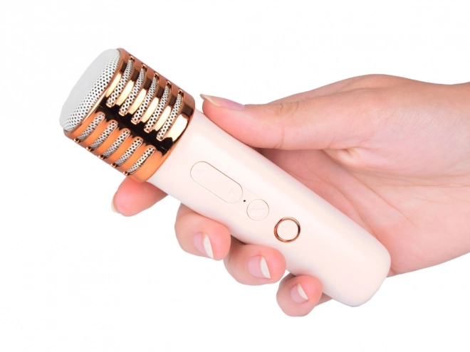 Microfoon met draadloze luidspreker en Bluetooth