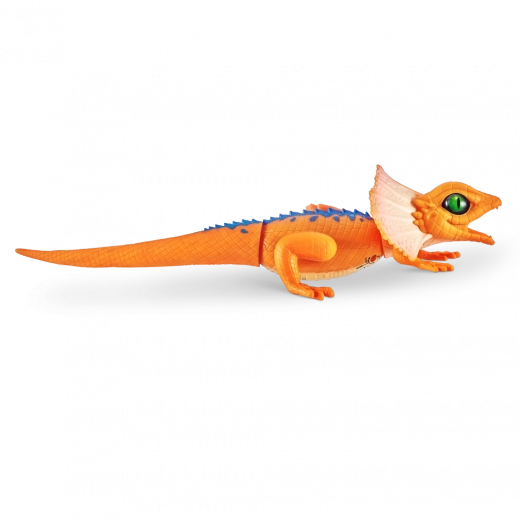 Realistische look en kleuren