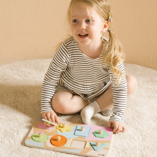 Houten geometrische puzzel voor kinderen