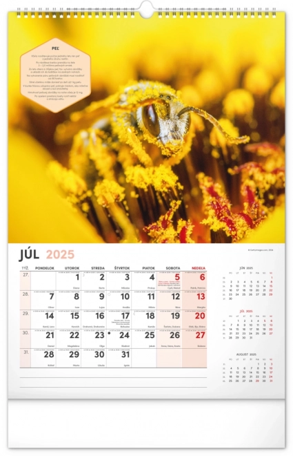 NOTIQUE Muur Bijenteelt Kalender 2025, 33 x 46 cm