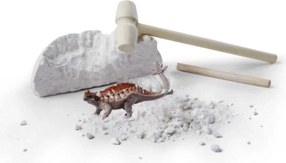 Set voor het opgraven van dinosauruseieren