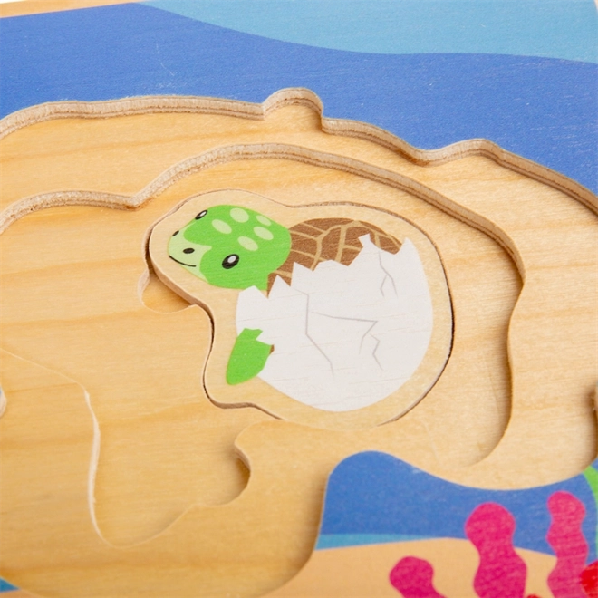 Bigjigs Toys Puzzel Levenscyclus van de Schildpad
