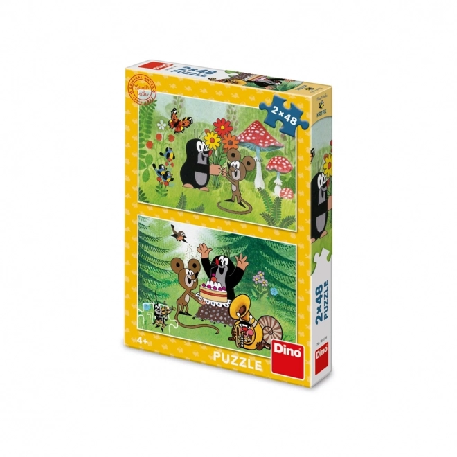 Dino Puzzel Mol Feest
