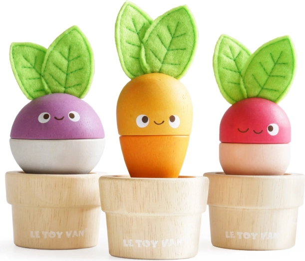 Houten bloempotjes met groenten LE TOY VAN