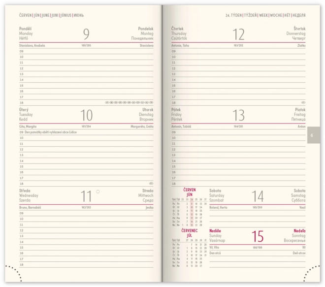 NOTIQUE Zakagenda Diario 2025, roze, 9 x 15,5 cm