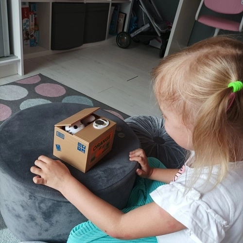 Monstertje muntjes - batterijen spaarpot - Kat