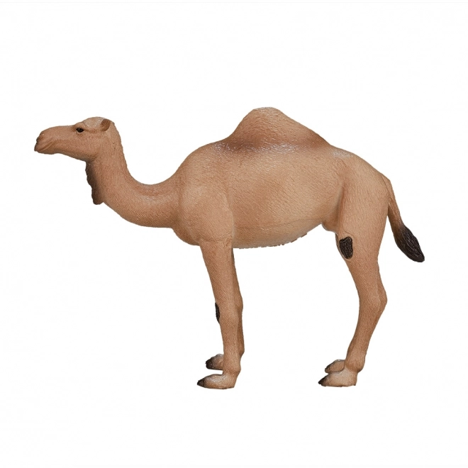 Mojo Animal Planet Dromedaris