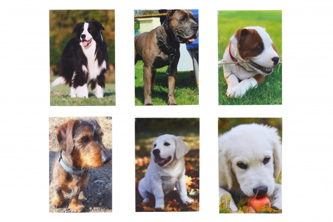 Klein notitieboekje Hond 40 pagina's