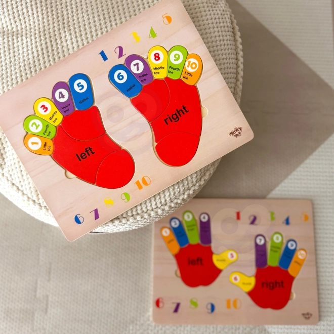 Houten educatieve puzzel TOOKY TOY - Leren cijfers en kleuren