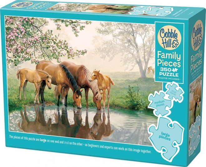 COBBLE HILL Familie puzzel Familie van Paarden 350 stukjes