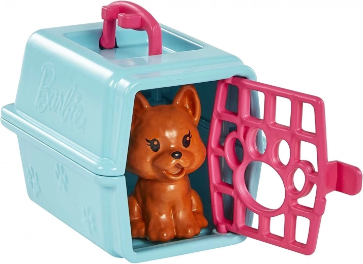 Rijke accessoires en transportbox