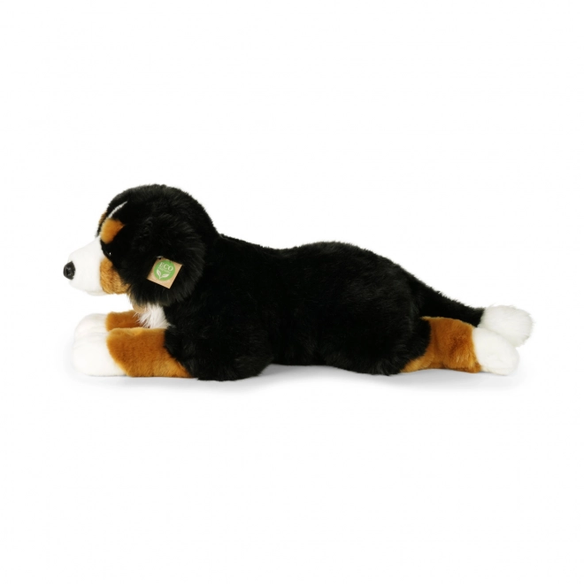 Grote pluchen Berner Sennenhond liggend 61 cm