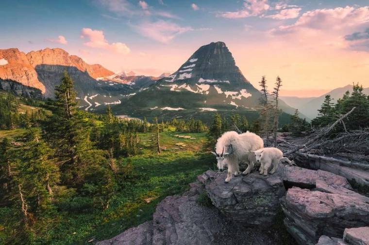 Ravensburger puzzel Alpengeiten – 3000 stukjes