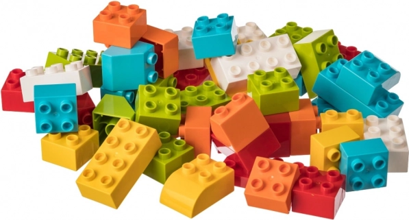 Set bouwstenen voor de allerkleinsten 50 stuks