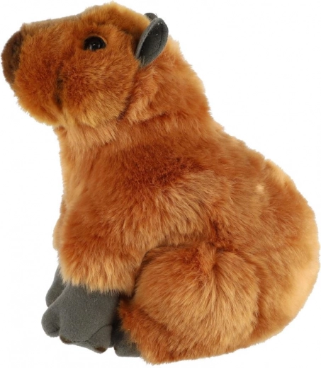 Veilige keuze vanaf de geboorte