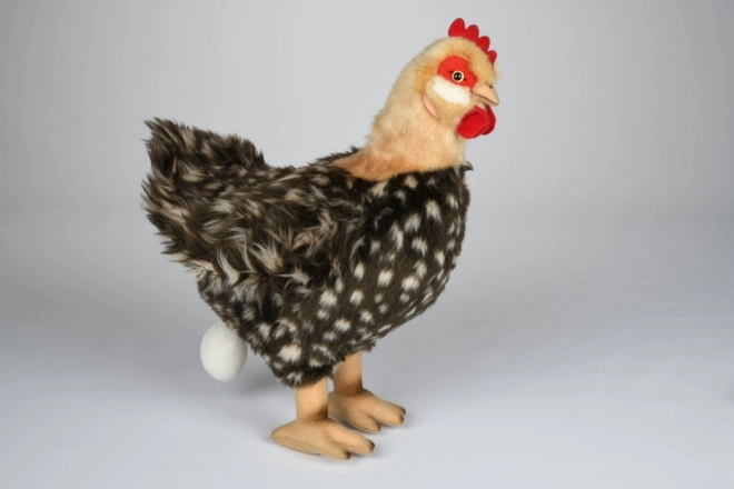 Pluchen Kip met Ei 35 cm