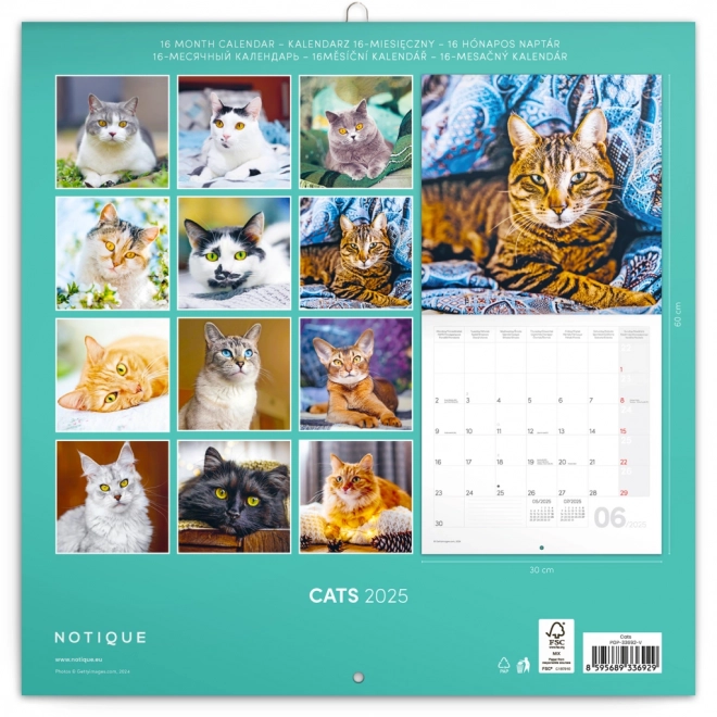 NOTIQUE notitiekalender katten 2025, 30 × 30 cm
