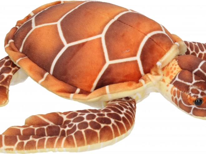 Pluche schildpad 32 cm