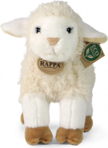 Exclusieve RAPPA-collectie